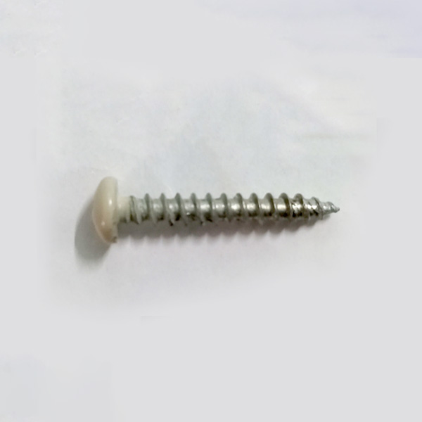 Painted screws